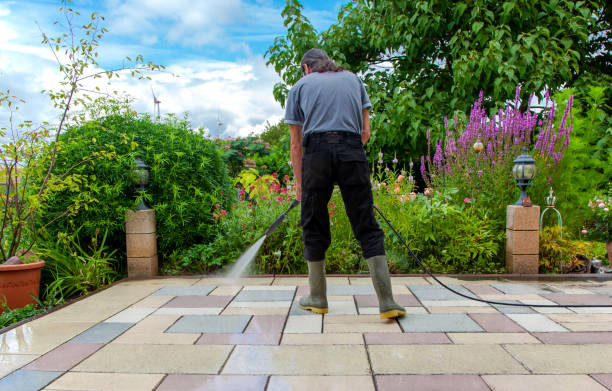 Best Winterizing Services  in Flower Mound, TX